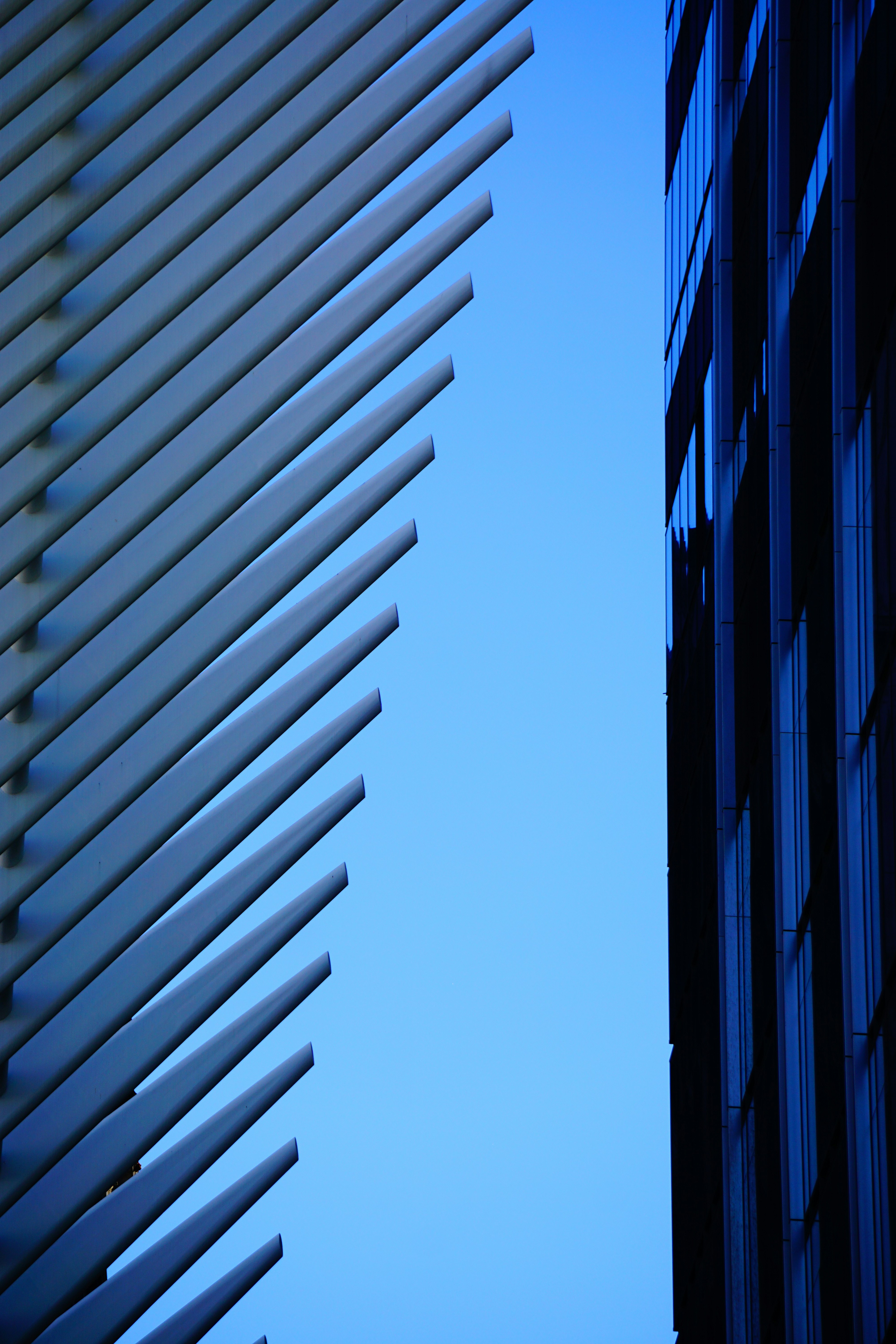 architectural photography of white and blue building